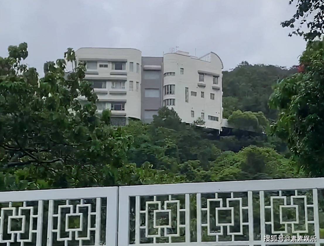 李嘉欣分享圆月照：私人庭院内欣赏月光美景，半山豪宅成背景板