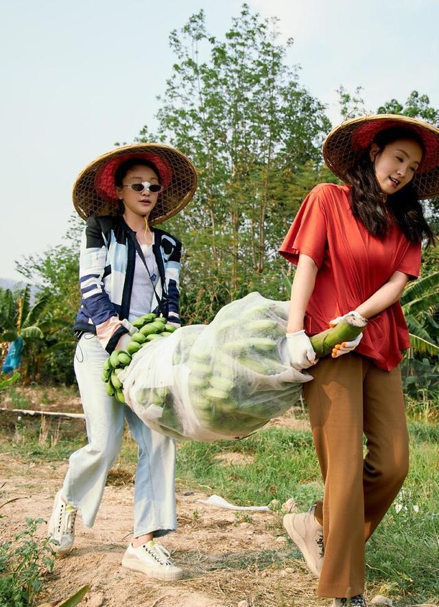 《向往的生活》嘉宾着装的价格被扒，这样的衣服适合干农活？