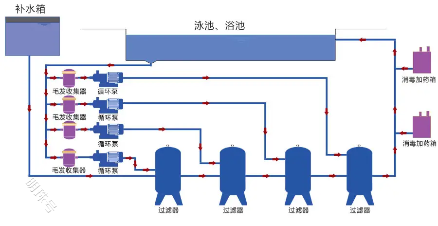 泳池的水有多脏？行业潜规则：极少换水，靠24H水流循环“翻新