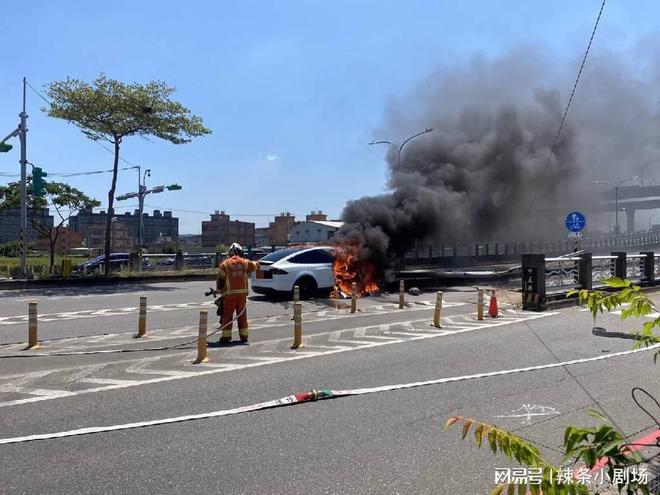 林志颖：拥有多辆特斯拉车型，出事车刚入手1年，价值388万