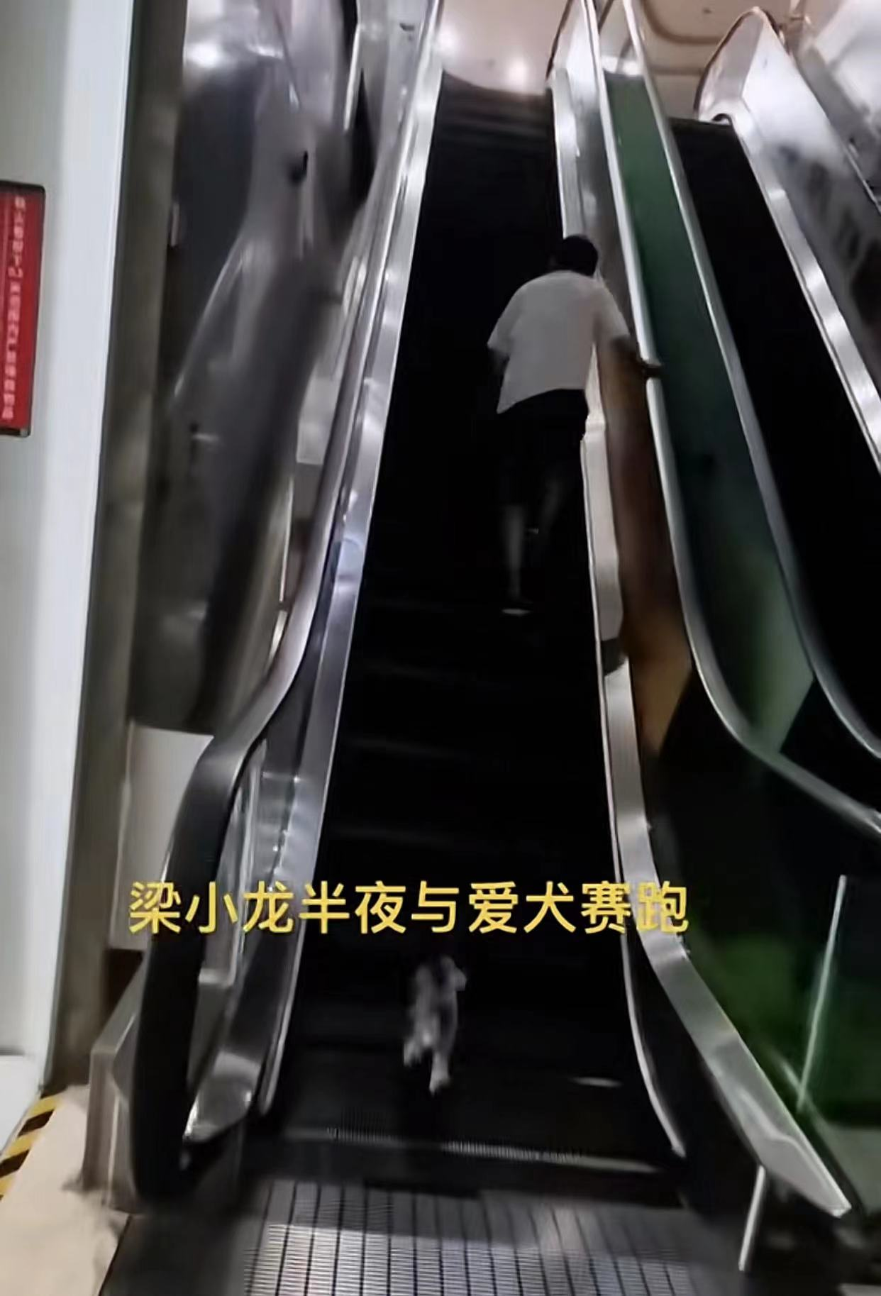 72岁梁小龙定居四川惹争议，在电梯上与狗赛跑