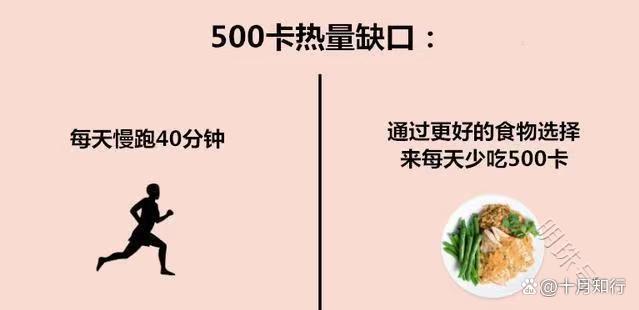 200-300大卡）热量的摄入，然后通过运动来增加一部分（200-300大卡）消耗。3.减肥行为要有