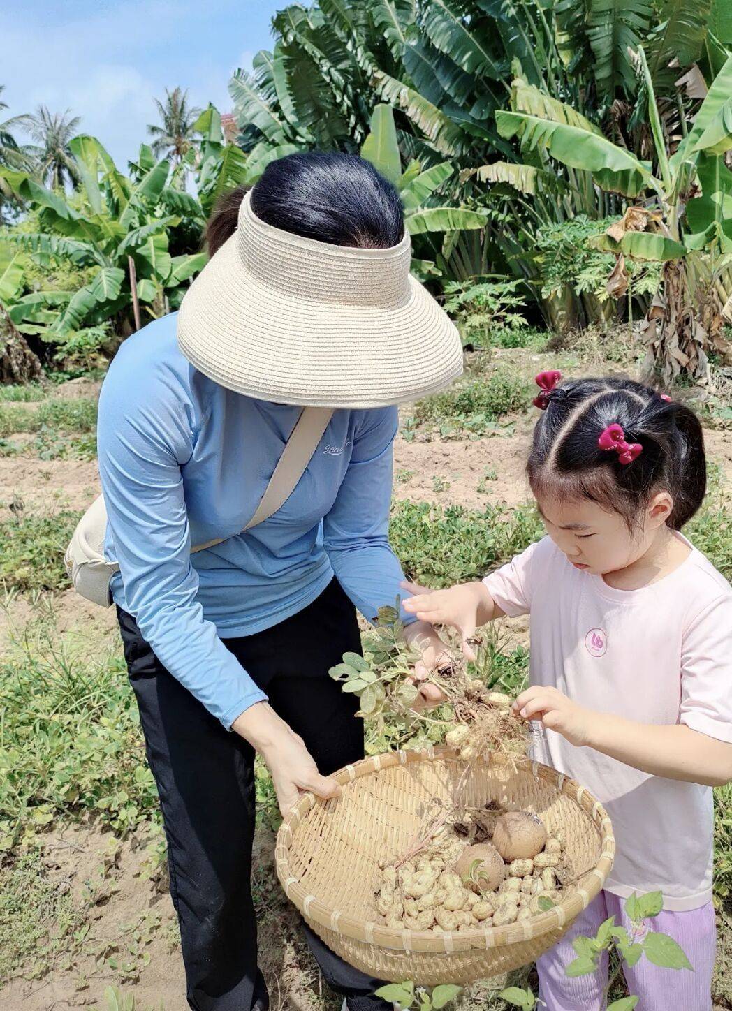 王楠带娃体验农村生活，亲自下地摘花生，俩娃蹲地上捡鸡蛋不嫌脏