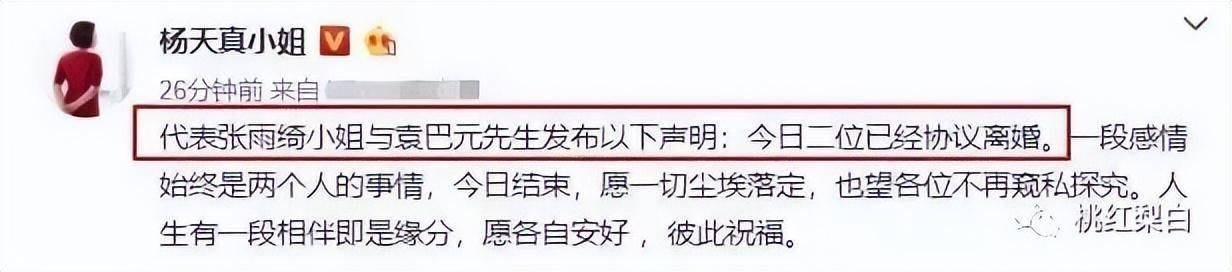 陈乔恩王子文官宣恋情找年下男，扑倒鲜肉弟弟成了主流？