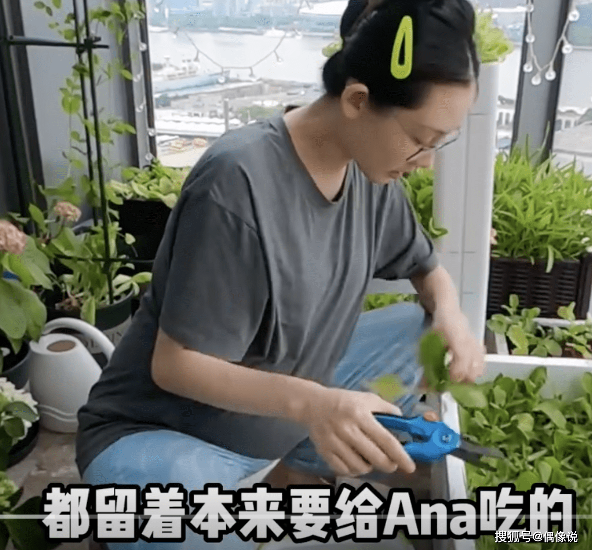 郑恺官宣苗苗二胎产子！宝宝用手比六皮肤白，姐姐Anna暖心亲吻