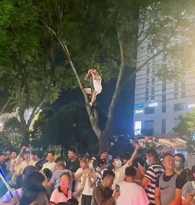 许巍昆明开露天演唱会，歌迷爬树上房观看，更有网友称看了想辞职