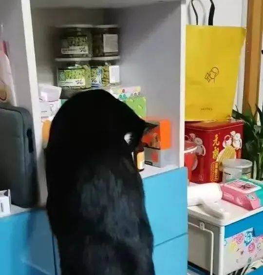 全能的元朗蛋卷盒里，藏着数不尽的广东旧事