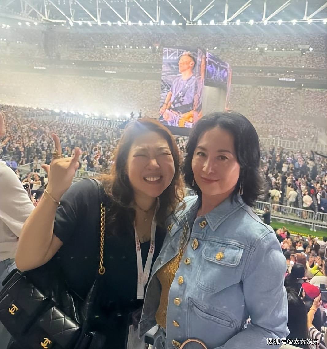 李嘉欣和许晋亨看谢霆锋演唱会,何超琼同场现身,3东说念主全程无换取