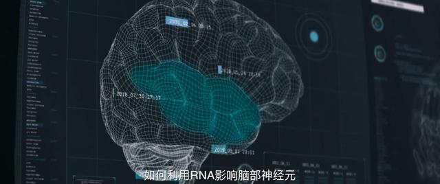 |张震主演科幻悬疑惊悚片《缉魂》曝终极预告 1月15日全国上映