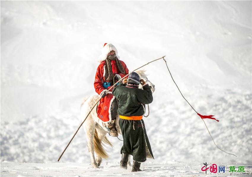 |到冰天雪地的乌兰布统邂逅冬日“雪原精灵”（组图）