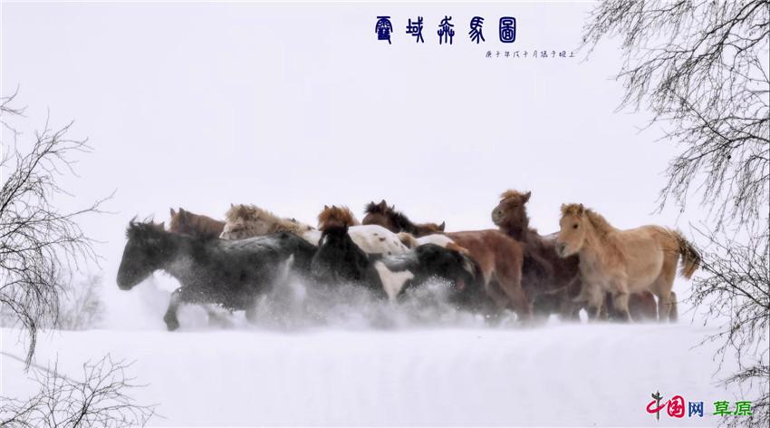 |到冰天雪地的乌兰布统邂逅冬日“雪原精灵”（组图）