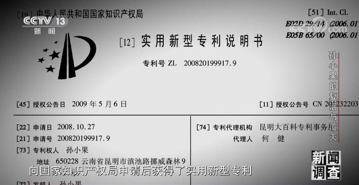 孙小果的复生与毁灭丨获死刑却“死而复生”再作恶，背面都有谁