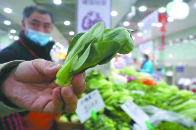 打开春天的味蕾 上海菜市场首批本地菜尖上市