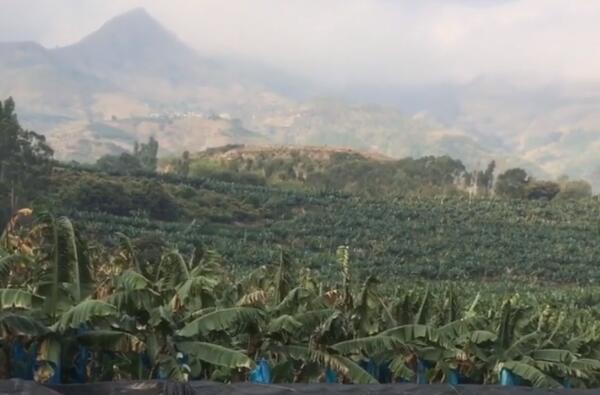 粉丝爆吴孟达骨灰已安葬大马神山，墓地风景宜人，达叔遗愿已完成