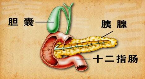 胰腺癌患者筛查糖尿病体重减轻的危险信号