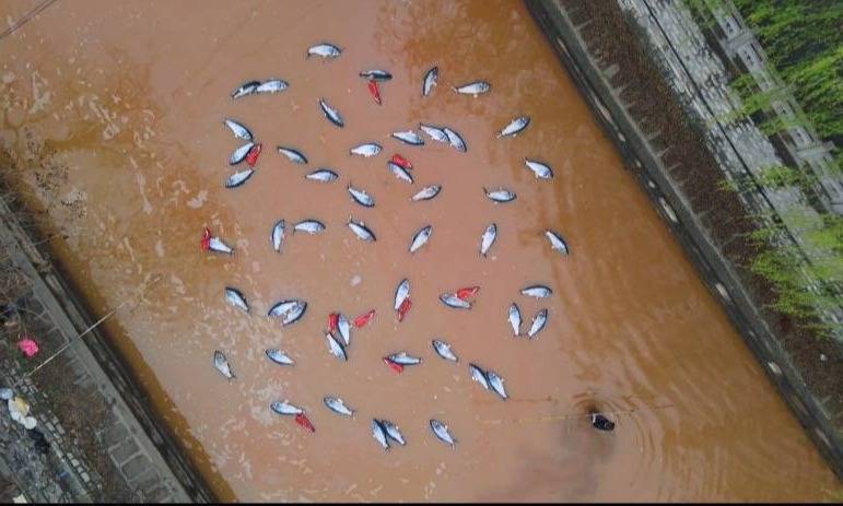 为了对抗污染，艺术家在山东制造了30000平米的超级鱼火锅