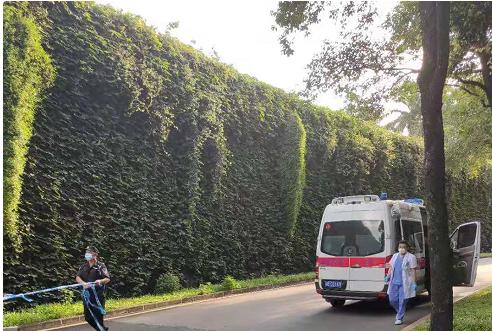 痛心！一男子晨跑时猝死！医生提醒：运动猝死，有6个高危时刻