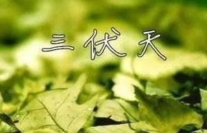 三伏天多吃“苦”！这6种食物味道虽苦，但清热解毒，提高免疫力