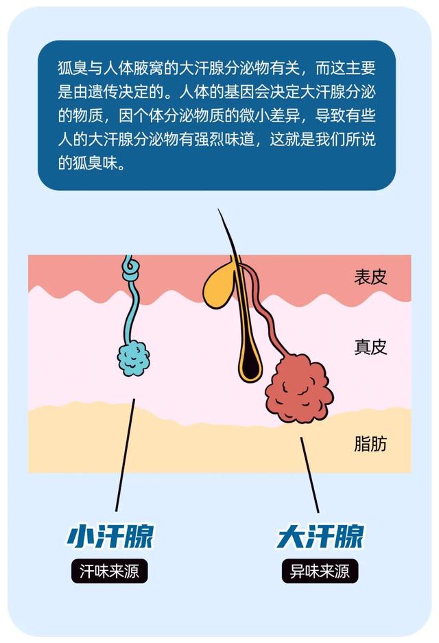 动一动就“出味”？夏天这个味道太上头了，化解难“掩”之隐，你需要这几招