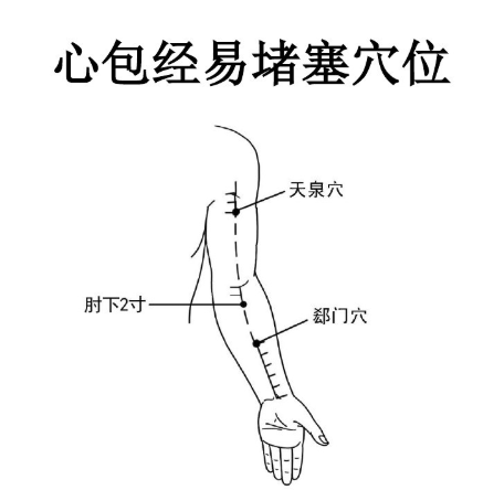 解密12经络疏通法3分钟疏通经络简单易学每天做百病不侵