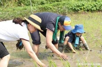 霍启刚回应4胎，让众人打消了这个想法，网友直呼：羡慕夫妻感情