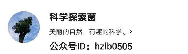 如果人类能把100吨水装到1立方米的容器中，或将开启新纪元