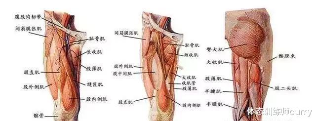 明白延迟性肌肉酸痛+正确的RB选择=虐腿成功