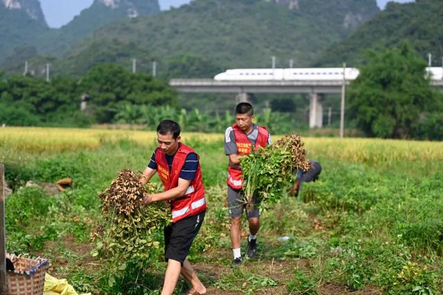 《广西日报》半版报道柳州这个村 | 绘就美丽乡村 留住浓浓乡愁