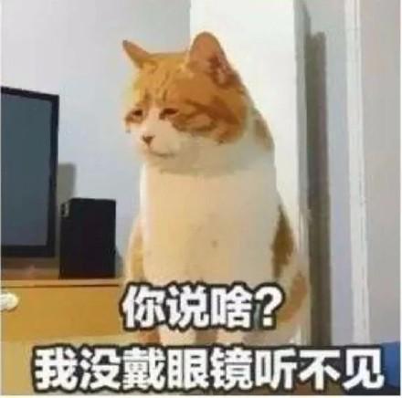 猫咪这些天生的臭毛病，成了我们爱它的理由