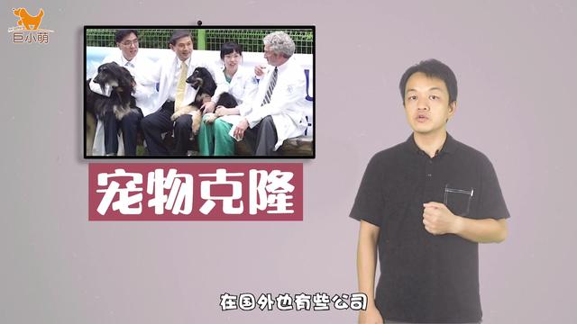 如果克隆狗能保留思想和性格，是不是能有双倍快乐？来看真实案例