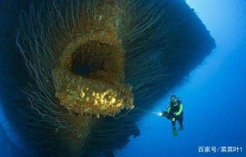 地球上最深的海洋在哪里？马里亚纳海沟会有生命吗？