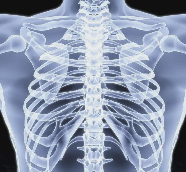 脊椎各部位小关节紊乱详解干货分享