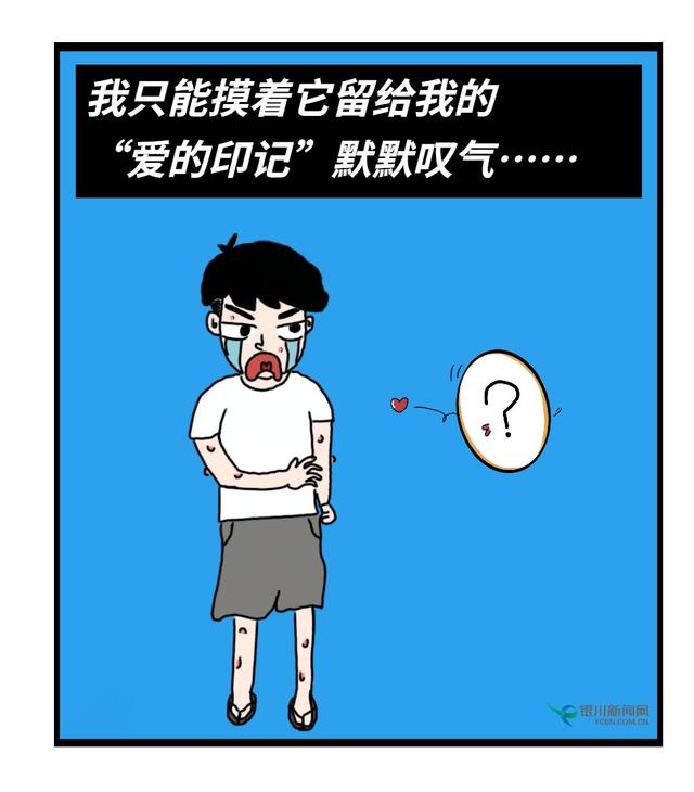 我养的“宠物”，被我亲手杀死了