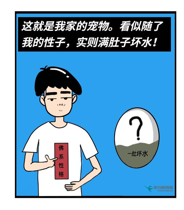 我养的“宠物”，被我亲手杀死了