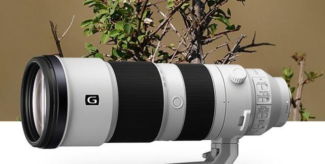 适马150-600S微单拍鸟镜头,PK索尼原厂200-600镜头有竞争力吗?