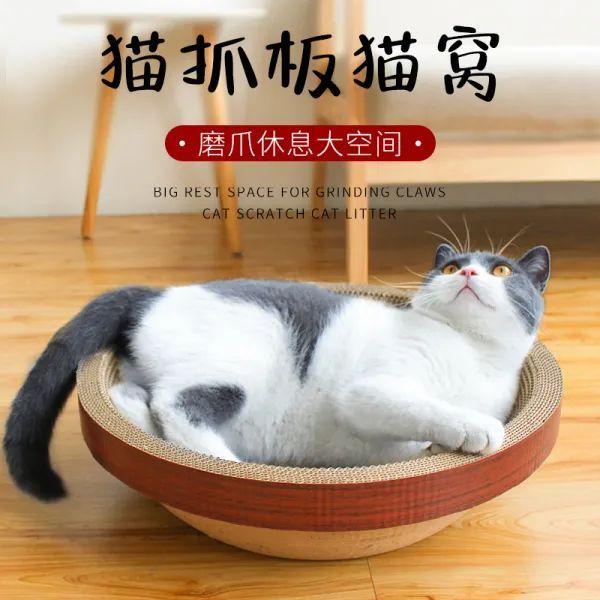 当猫拆起猫碗，像极了海底捞的扯面师傅！