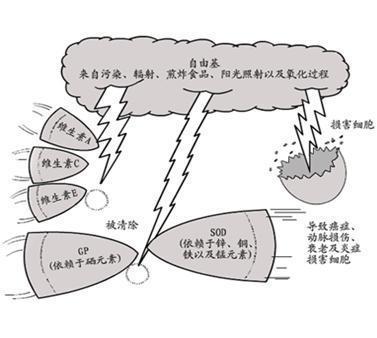 注意！防疫要警惕它！茶是它的天然克星