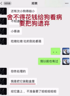 “分手摔死你的猫，又不犯法就要气死你！”