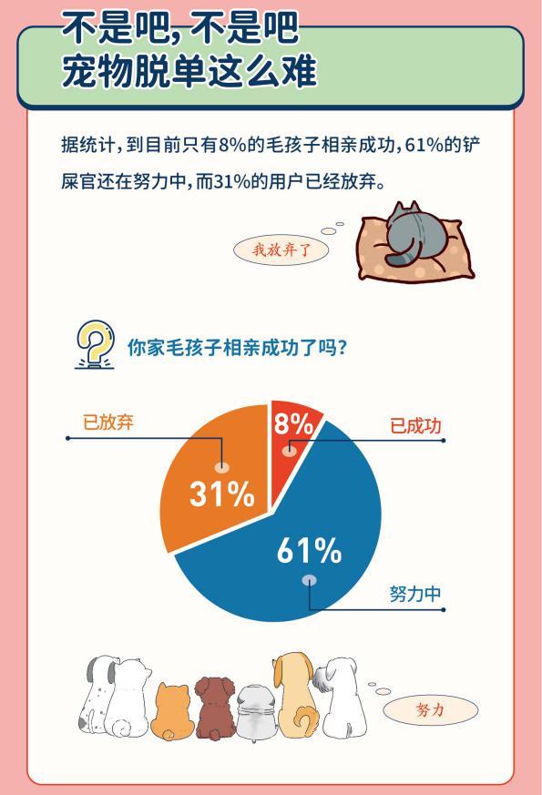 宠物家发布报告：宠物相亲规模高过上海人民公园