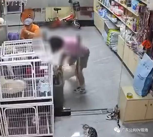 小女孩宠物店内用门夹死猫，网友怒了！店长：已道歉赔偿