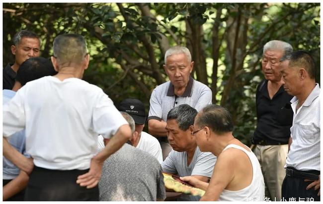 跳了三年交际舞，71岁大爷哭诉：七千退休金居然不够用，真怕了