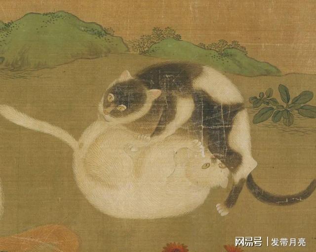 古代人rua猫需要几个步骤？网友：真的，看累了……