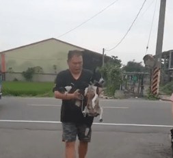 幼犬掉水沟顺利救援，狗妈大喊：还有我啊！