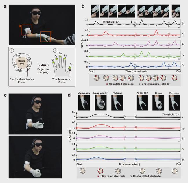 上海交大机器人研究所团队：操作感知一体化的软体神经假肢手
