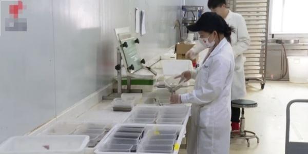 广州出现“蚊子工厂”，一周释放500多万蚊子，它们将成“间谍”