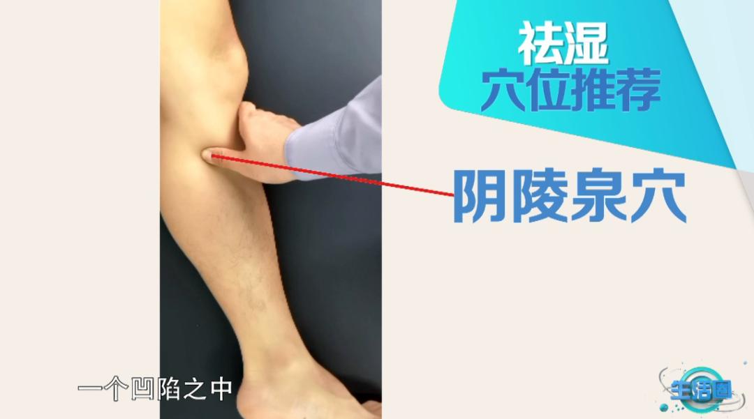 承山穴和阴陵泉穴都是祛湿的佳穴,最开始可以轻按轻揉,感到酸麻胀痛