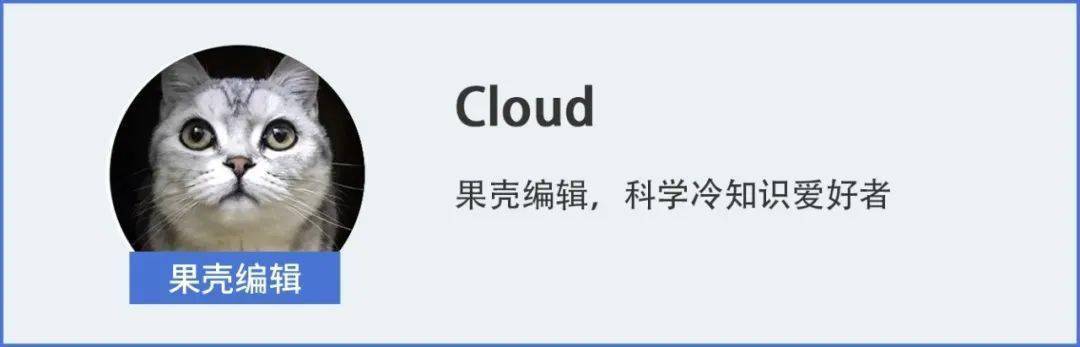 网球，不是绿色的吗！为什么大家都说是黄的？