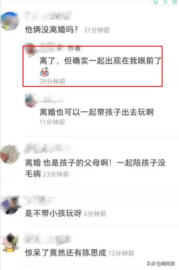 佟丽娅离婚后带儿子逛环球影城，网友拍到陈思诚身影：的确是他