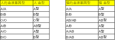 带你了解一下猫的血型