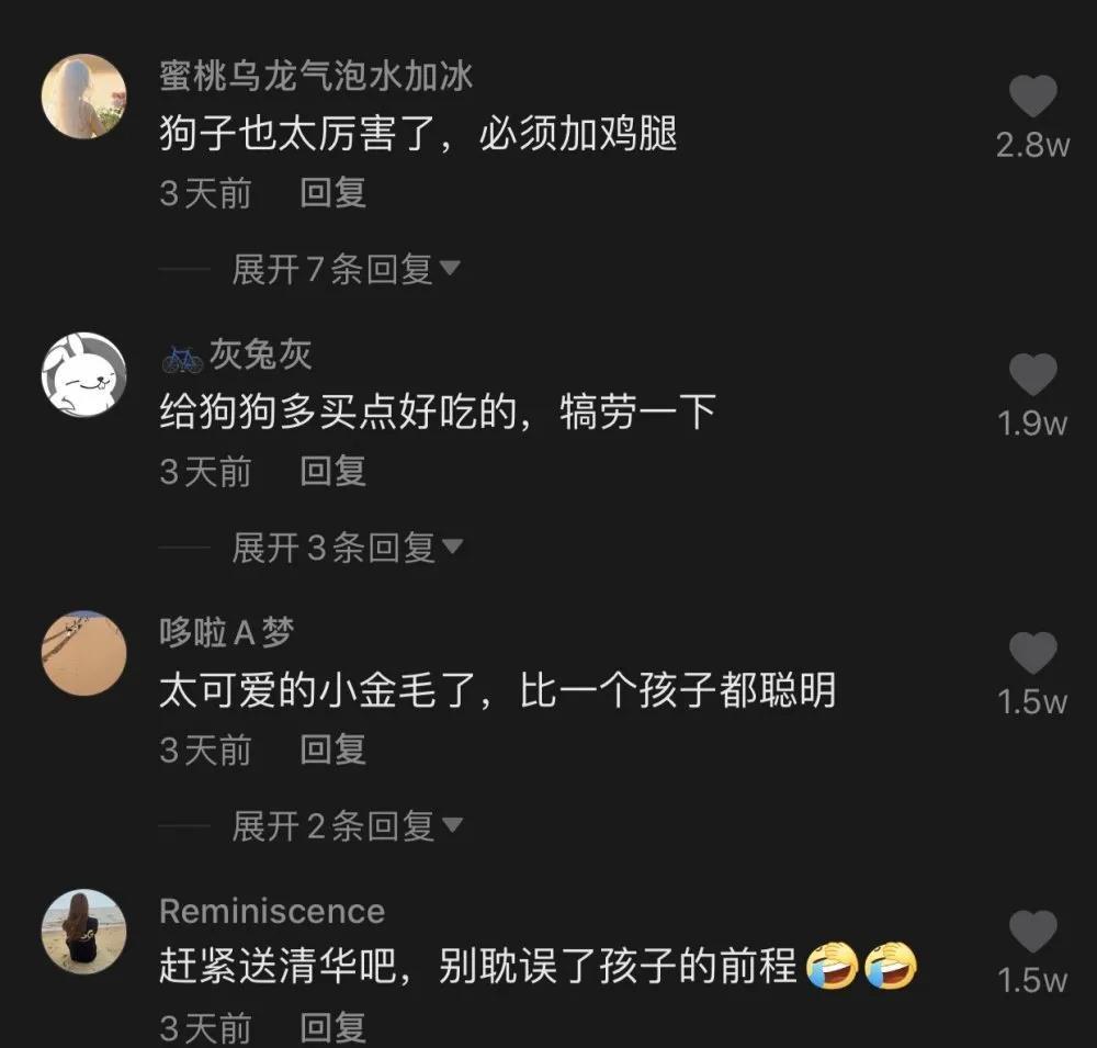 烟头引燃毯子，机智金毛浇水灭火救家，完美转型成“别人家的狗子”